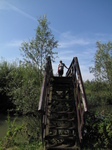 SX24040 Jenni on bridge in Biesbosch.jpg